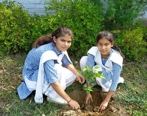 S.D. PUBLIC SCHOOL