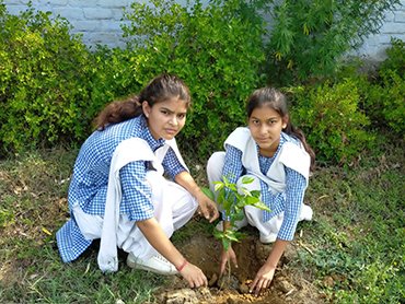S.D. PUBLIC SCHOOL